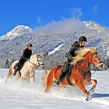 ゲストハウス Nickl