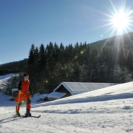 Nickl Vendégház Weißbriach