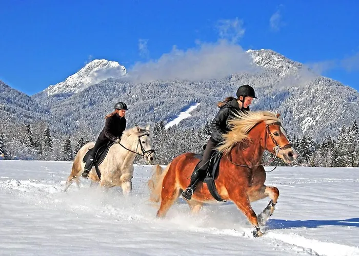 בית הארחה Nickl