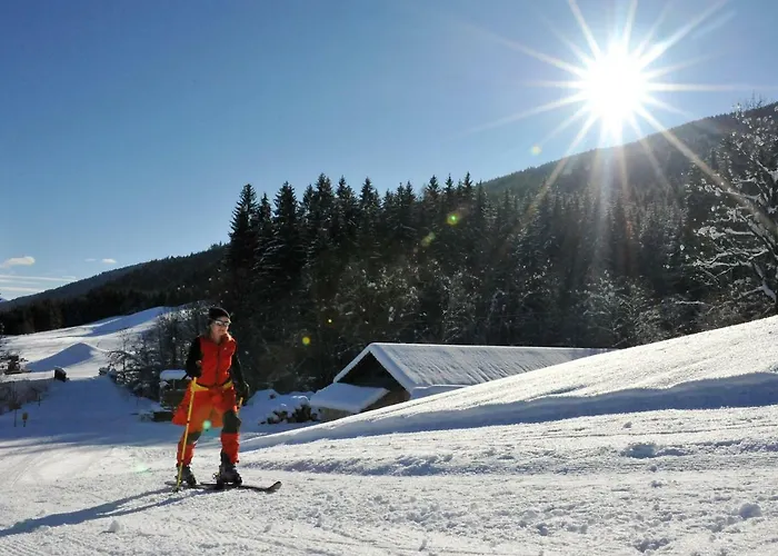 Nickl Guest house Weissbriach